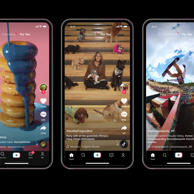 Visual for this record: TikTok's own explainer names signals, not follower count